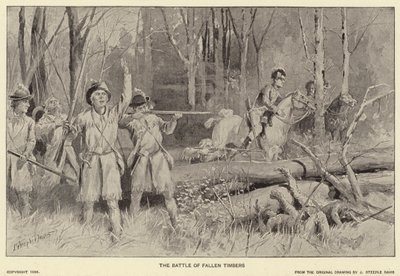 Slaget ved fallen tømmer (litho) av J. (after) Steeple Davis