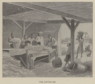 Bomullsginen (litho) av J. (after) Steeple Davis