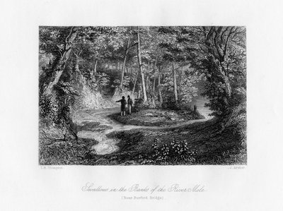 Svaler i bredden av elven Mole, Surrey, 1800-tallet av J. Archer