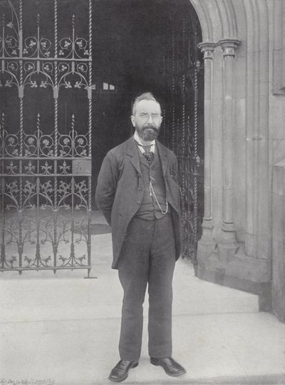 Mr. T. M. Healy av J. Benjamin Stone