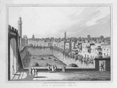 Pool of Bethesda. John. 5. 2., 1830 av J. Clarke