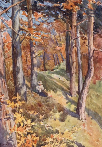 I Sauvabelin-skogen, over Lausanne (fargelitografi) av J. Hardwicke Lewis