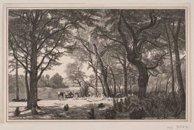 Jylland skogfest av J. Hildebrand