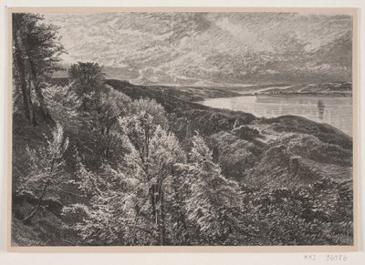 Utsikt fra Munkebjerg over Vejle fjord av J. Hildebrand