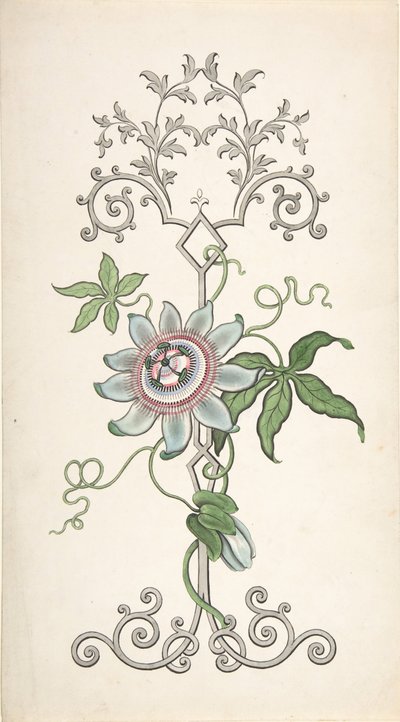 Design for paneldekorasjon sentrert på en lidenskapsblomst, 1828-40. av J Hulme