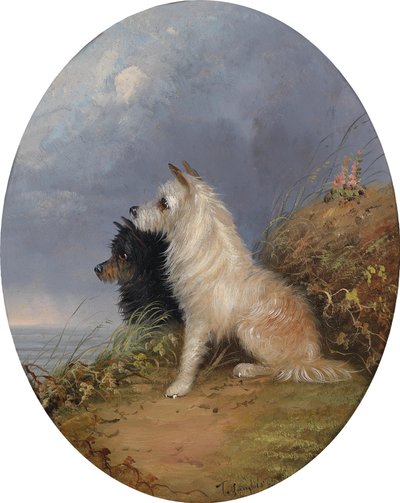 To hunder på stranden av J. Langlois