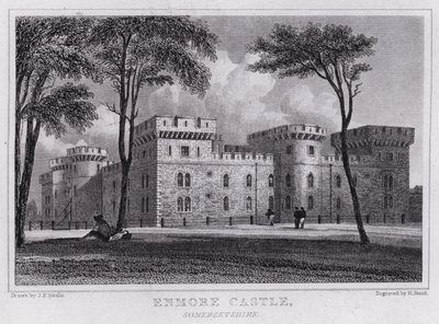 Enmore Castle, Somersetshire (gravering) av John Preston Neale