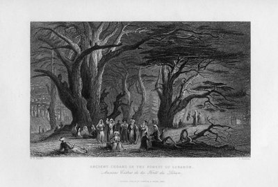 Gamle sedertre i Libanons skog, 1841 av J. Redaway
