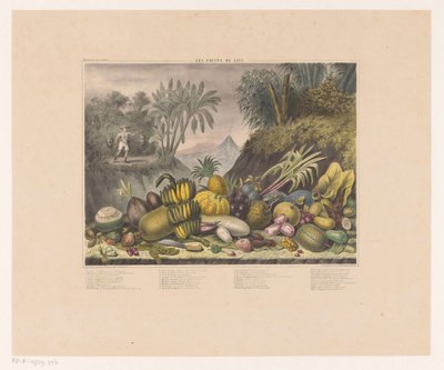 Javanesiske frukter Les fruits de Java (tittel på objekt) av J. Schnell