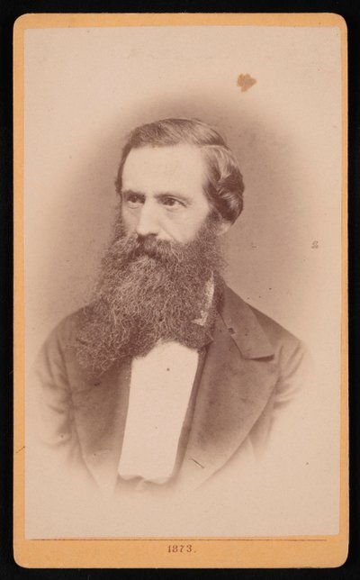 Portrett av Mordecai Cubitt Cooke 1825-1914, 1873. av J Stegmann