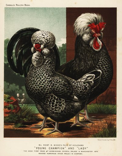 Houdan eller Poule de Houdan hane og høne av J. W. (after) Ludlow
