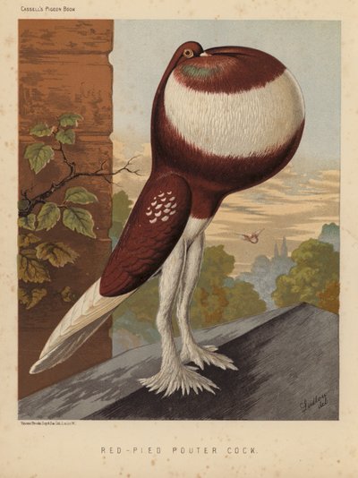 Pigeons: Red-Pied Pouter Cock (colour litho)   1398231   no       norwegian Successfully Translated  Original: Rocks and Sea (oil on canvas) Translat: Rocks and Sea (oil on canvas) 1402650 no norwegian Successfully Translated Original: Illustration for Rob av J. W. (after) Ludlow