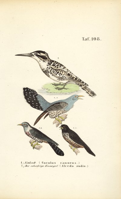  av J. W. Tenhaeff