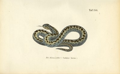  av J. W. Tenhaeff