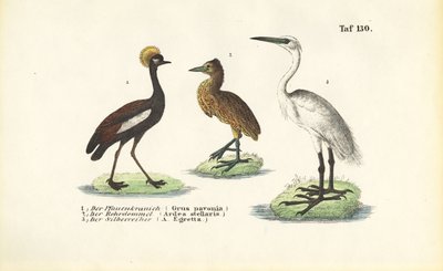  av J. W. Tenhaeff