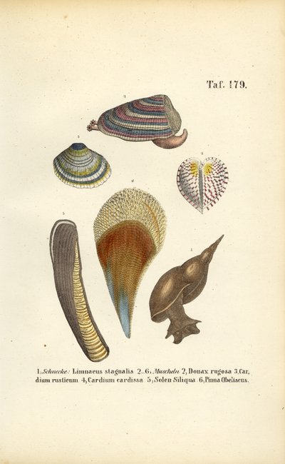  av J. W. Tenhaeff