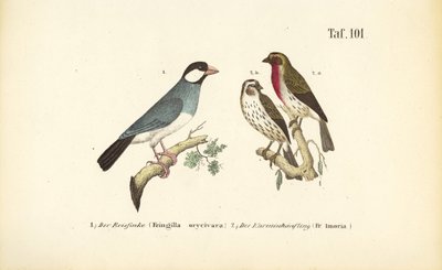  av J. W. Tenhaeff