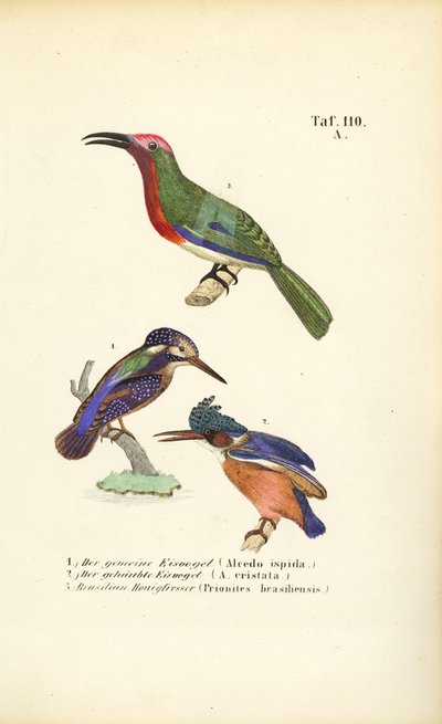  av J. W. Tenhaeff