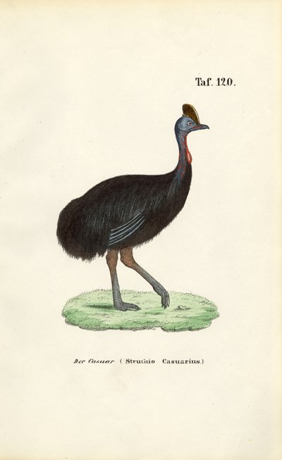  av J. W. Tenhaeff