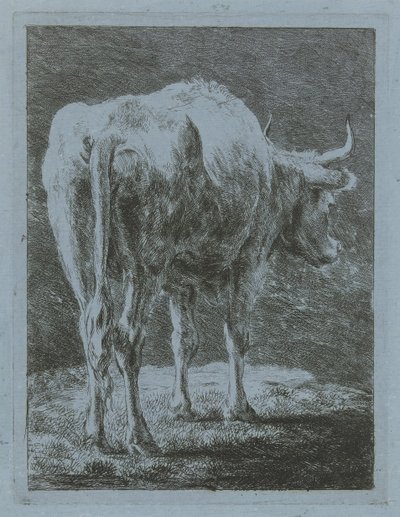 Ku i et landskap av Jabes Heenck