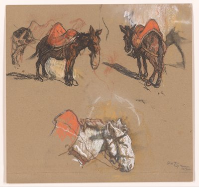 Studier av esler og et muldyr på Grote Markt i Tanger av Jac van Looij (signed by artist)