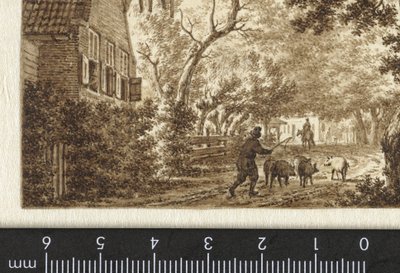 Schweinehirt auf einem Weg vor einem Haus von Jacob  Cats