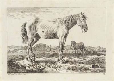 Stående hest i et landskap Seks trykk etter tegninger av forskjellige mestere (serietittel) av Jacob Elias van Varelen
