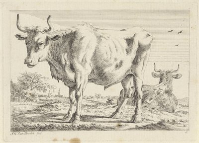 Stående og liggende okse Seks trykk etter tegninger av forskjellige mestere (serietittel) av Jacob Elias van Varelen