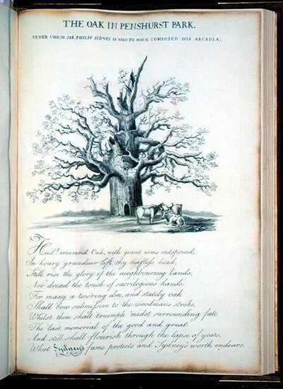 Eiken i Penshurst Park av Jacob George Strutt
