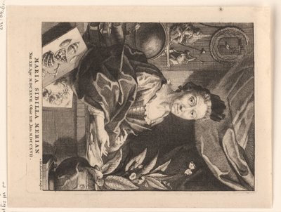 Portrett av Maria Sibylla Merian Maria Sibylla Merian (tittel på objekt) av Jacob Houbraken