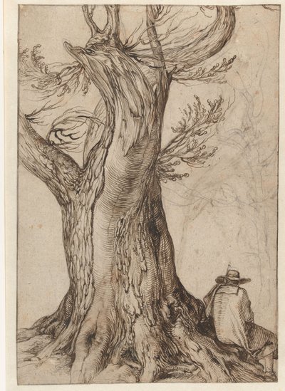 Studie av en trestamme av Jacob II de Gheyn