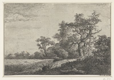 Kornåkeren av Jacob van Ruisdael