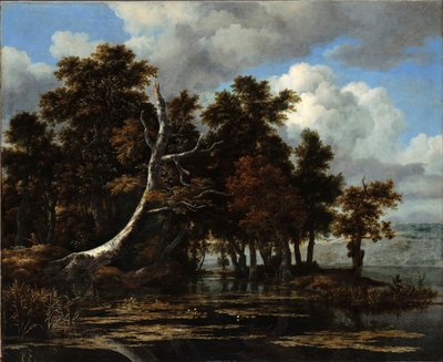 ""Eiker ved en innsjø med vannliljer" Maleri av Jacob Isaacksz van Ruisdael (1628/29-1682) Olje på lerret Dim 116,6x142 cm Staatliche Museen, Berlin av Jacob van Ruisdael