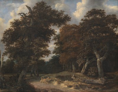 Vei gjennom en eikeskog av Jacob van Ruisdael