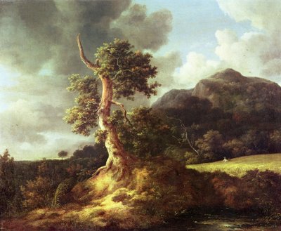 Ukjent bilde av Jacob van Ruisdael
