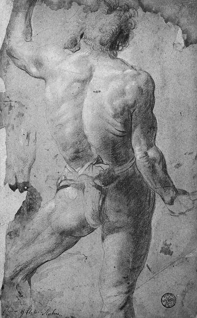 Stående naken mann (svart kritt og sangvinsk på papir) av Jacob Jordaens