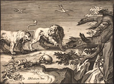 To løver i naturen av Jacob Matham