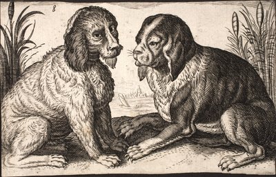 To hunder ved en innsjø av Jacob Matham