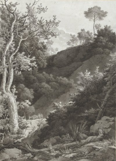 Skogkledd fjellside av Jacob Philipp Hackert