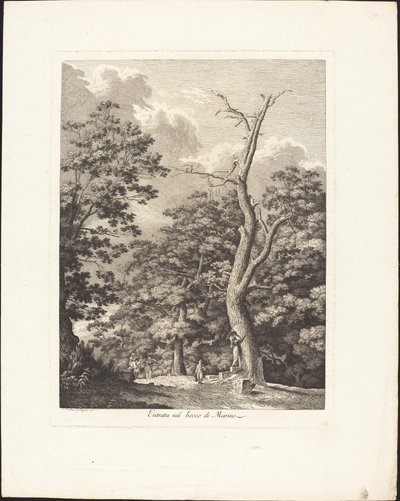 Inngang til Marino-skogen av Jacob Wilhelm Mechau