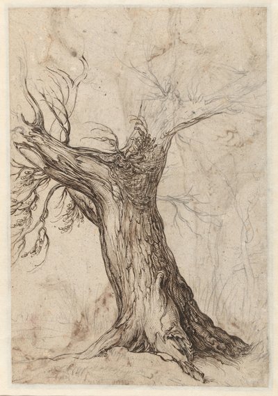 Kastanjetre med noen trær rundt av Jacob de Gheyn (II)