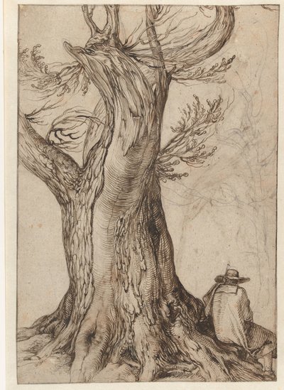 Studie av en trestamme Kastanjetre med mann som sitter på røttene av Jacob de Gheyn (II)