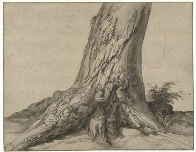 Studie av en trestamme med røtter Studie av stammen til et tre med røtter av Jacob de Gheyn (II)
