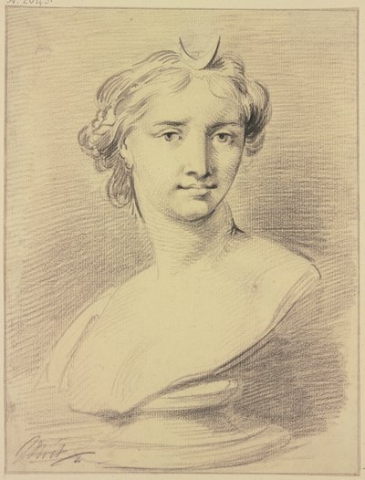  av Jacob de Wit