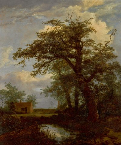 Et skogkledd landskap med et eiketre, en dam og hus bak av Jacob van Ruisdael