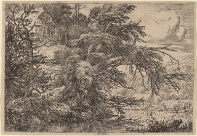 Hytte på en høyde av Jacob van Ruisdael