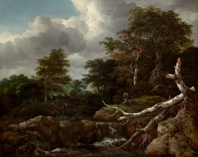 Skogscene, ca. 1655. av Jacob van Ruisdael
