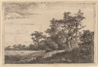 Kornåker på kanten av en skog (maisåker) av Jacob van Ruisdael