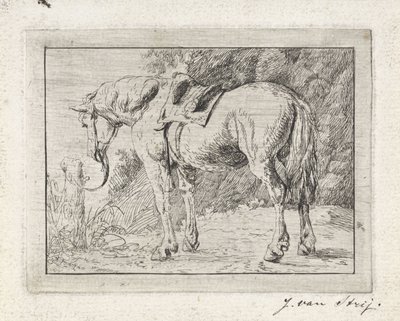 Salet hest bundet til en stang av Jacob van Strij