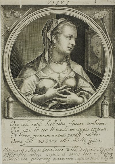 Syn, plate én fra De fem sansene av Jacob van der Heyden